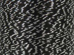 Camellia cívka - černostříbrná