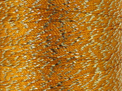 Camellia cívka - zlatavý melír