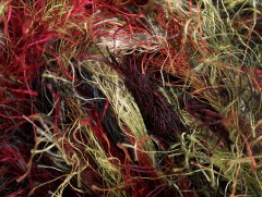 Long Eylash colorful - vínovočernozelené odstíny